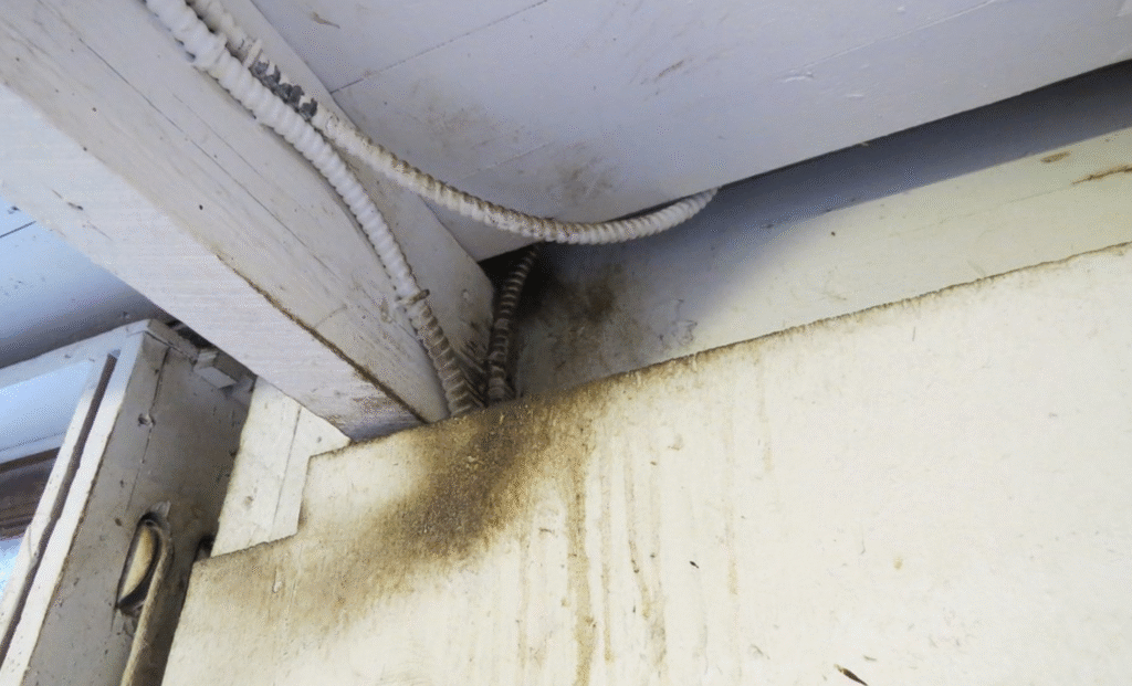 rat-trail-sebum-trail-in-glasgow-tennaments Rat trails and grease marks in glasgow, also known as Sebum Trails