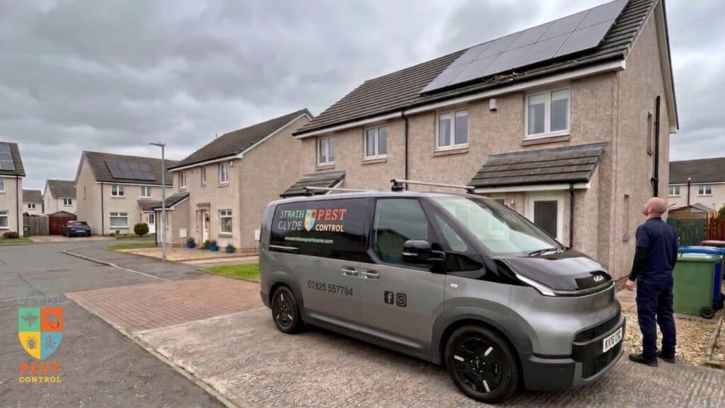 Strathclyde Pest Control Solar Panel Bird Proofing East Kilbride Birds nesting under solar panels — Strathclyde Pest Control technician carrying out a solar panel bird proofing inspection