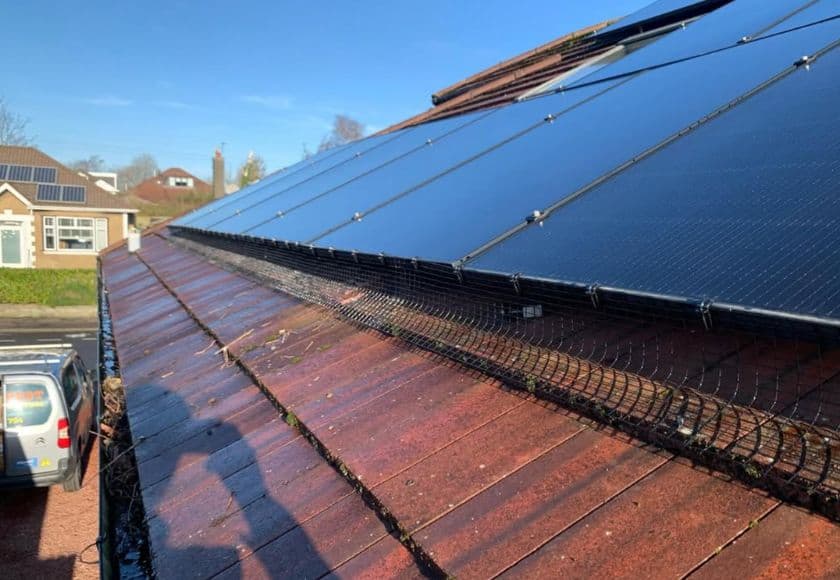 Bird Control and Proofing East Kilbride Pest control technician fitted bird proofing mesh on solar panels in East Kilbride